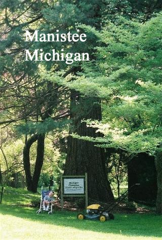 Michigan giant sequoia